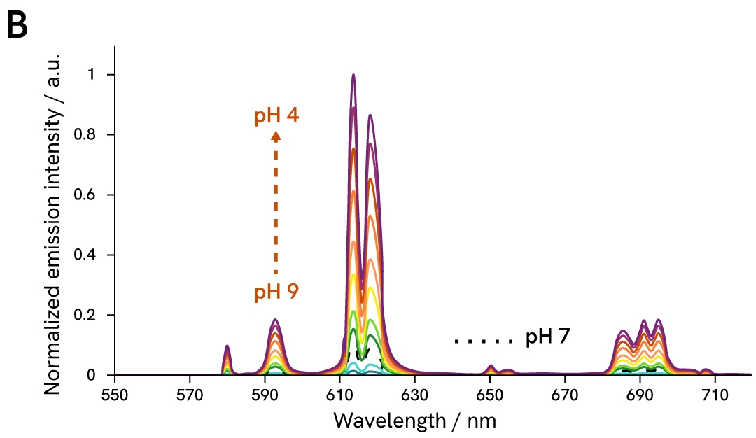pHSense ASK pH-dependent variation