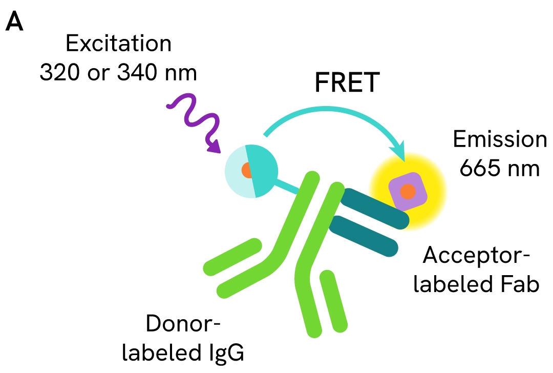pHSense ASK saturation binding assay