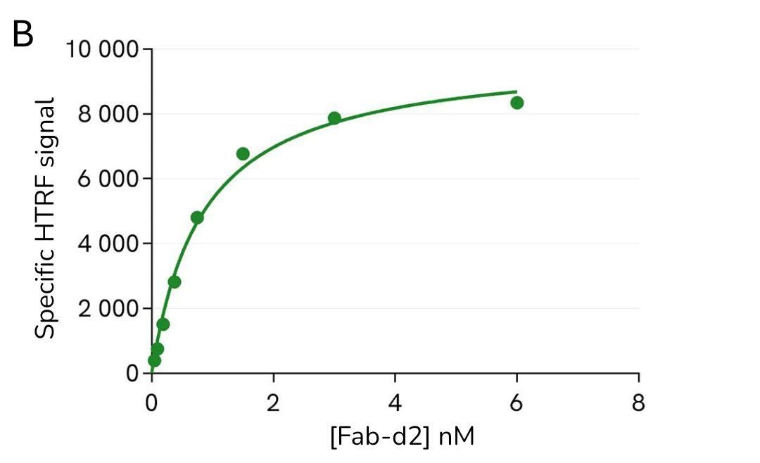 pHSense ASK saturation binding assay