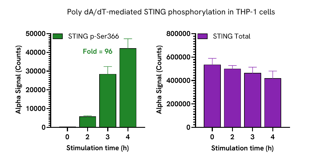 Pharmacological Validation (activator) STING pSer366