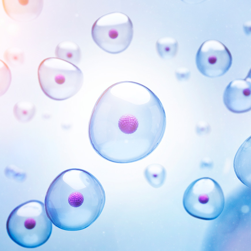 Cell imaging for pre-clinical analysis showing magenta-stained nuclei