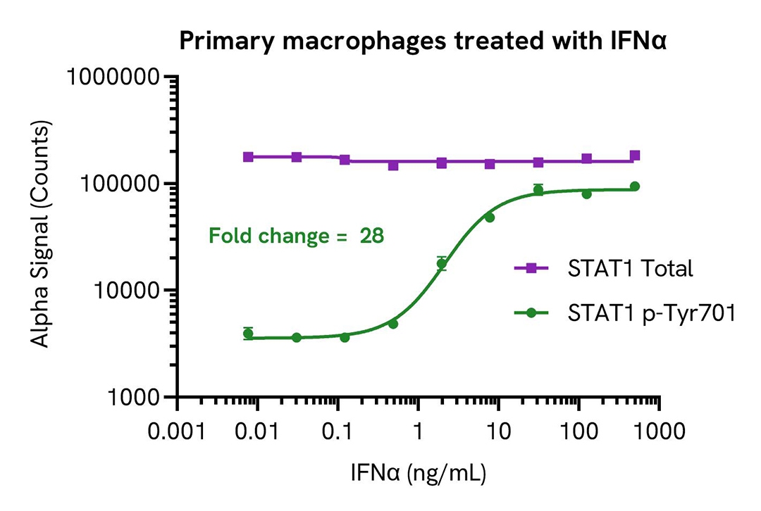 primary macrophages treated with ifna alsu pst1 a