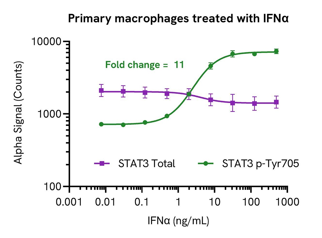 primary macrophages treated with ifna alsu pst3 a