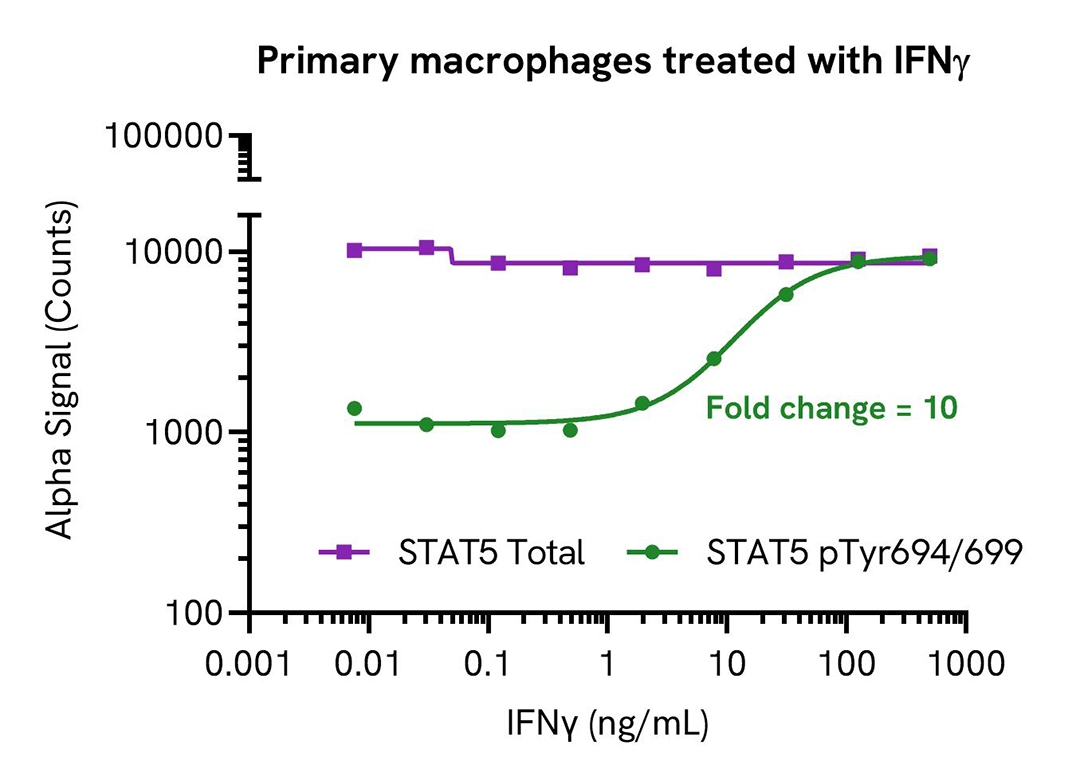 img-primary-macrophages-treated-with-ifny-alsu-tst5-a.jpg