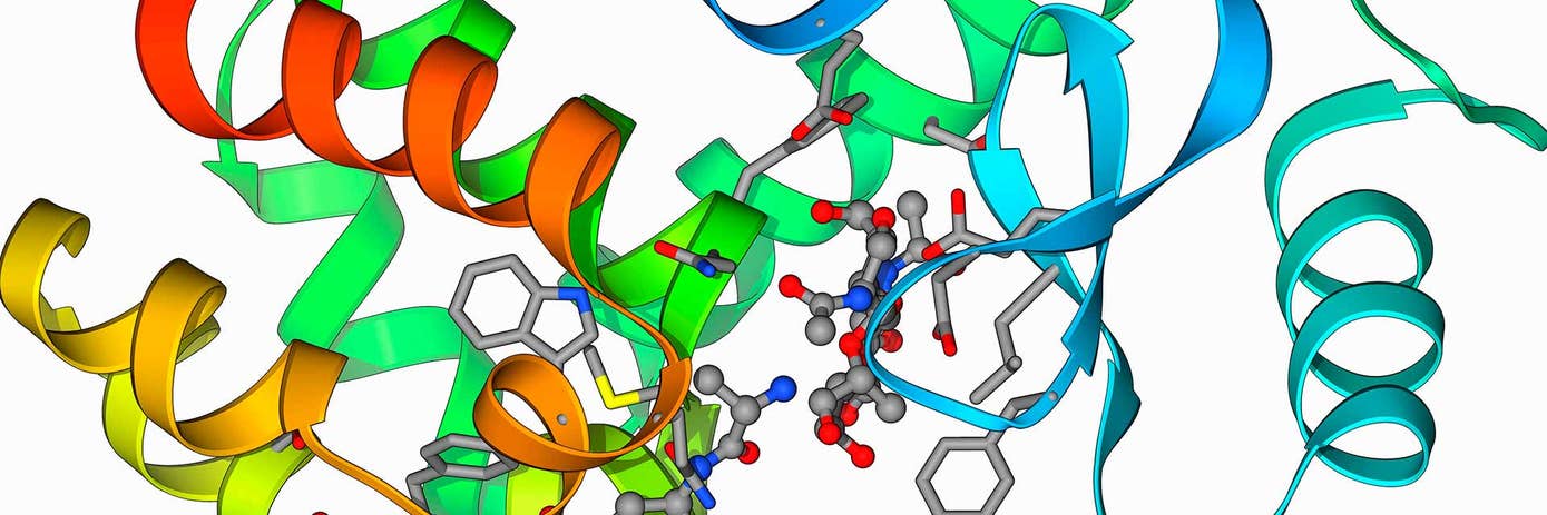 img-protein-production1920x640