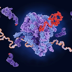 Revvity’s proteomics services. Protein molecule.