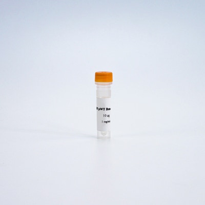 HTRF pWT β-arrestin 2