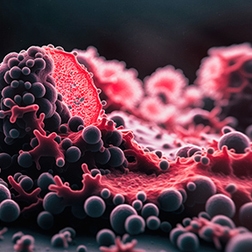 quantitative multiplex moderate thumbnail