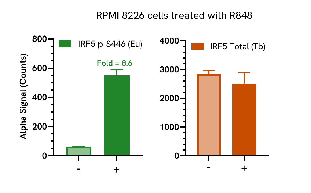 Pharmacological validation (activation) of Phospho IRF5 + Total assay