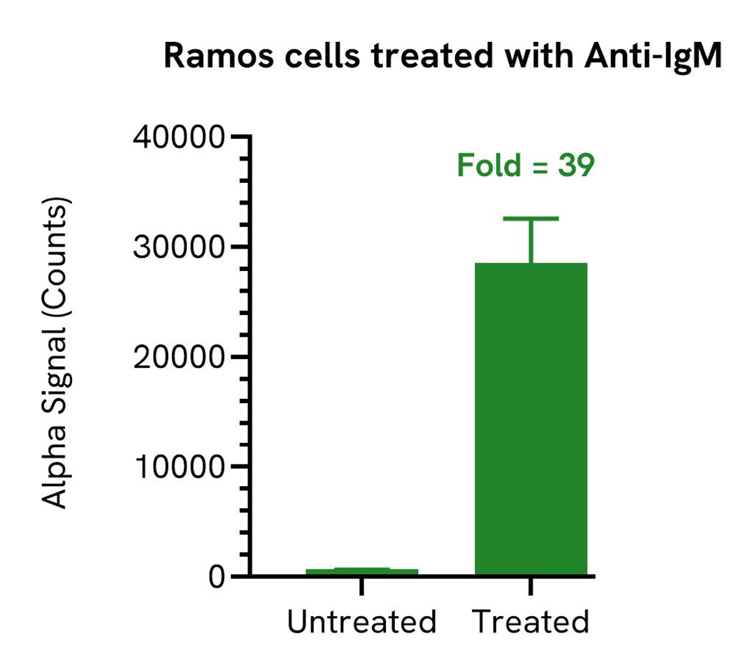 img-ramos-cells-treated-with-anti-igm-alsu-psyk-a.jpg