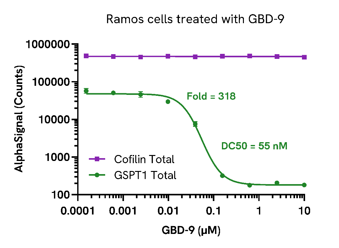 GSPT1 degradation using molecular glue compounds