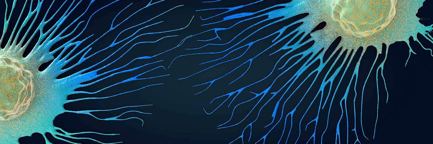 ras panel poster hero