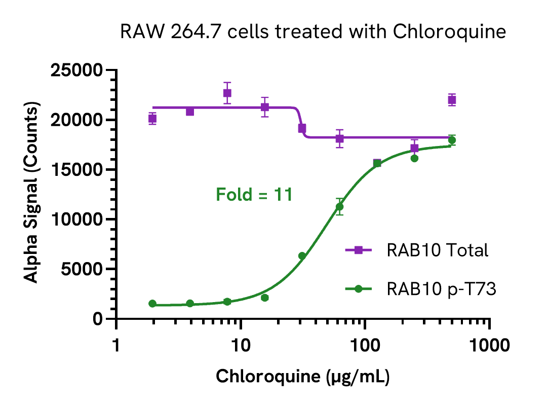 Activation of RAB10 phosphorylation