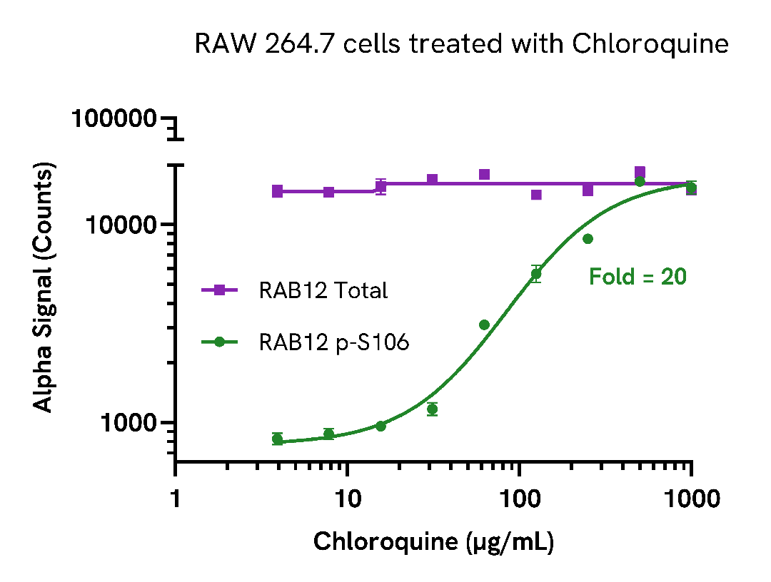Activation of RAB12 phosphorylation in endogenous cell systems