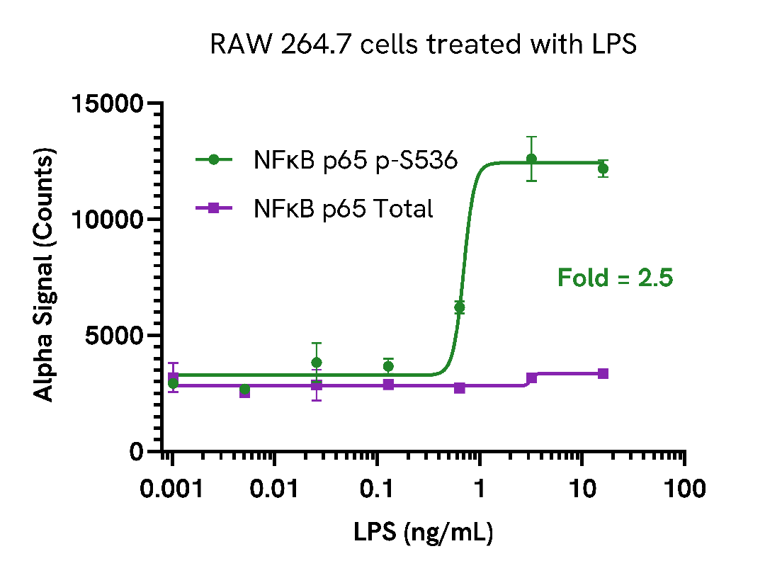 Activation of Phospho NFκB p65 (Ser536) in LPS treated cells