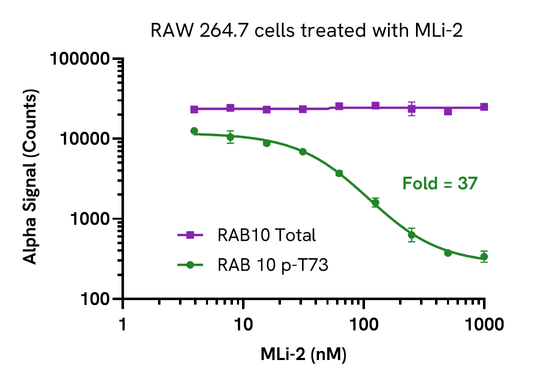 Inhibition of RAB10 phosphorylation
