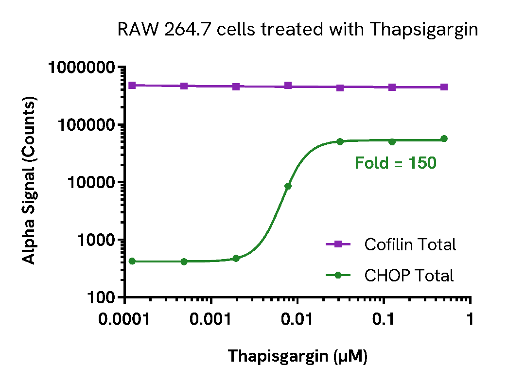 Induction of CHOP expression in Thapsigargin treated cells