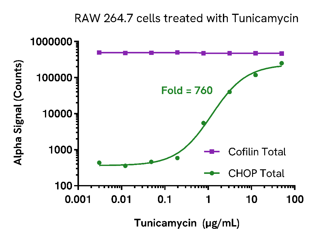 Induction of CHOP expression in Tunicamycin treated cells