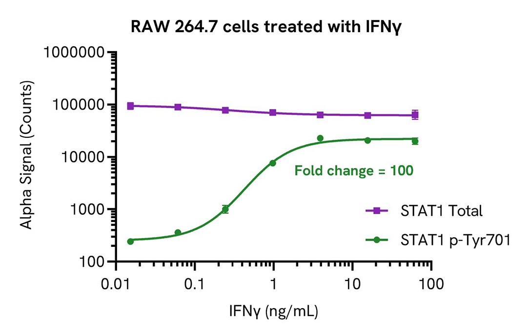 raw 264.7 cells treated with ifny alsu pst1 a