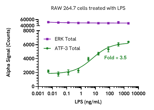 Pharmacological Validation (Induction) of ATF-3 Total assay