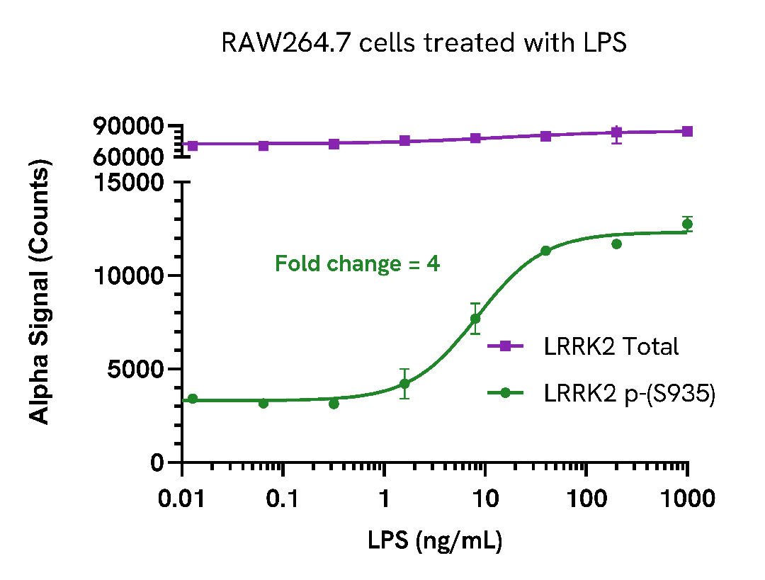 Activation of Phospho LRRK2 (Ser935) in LPS treated cells