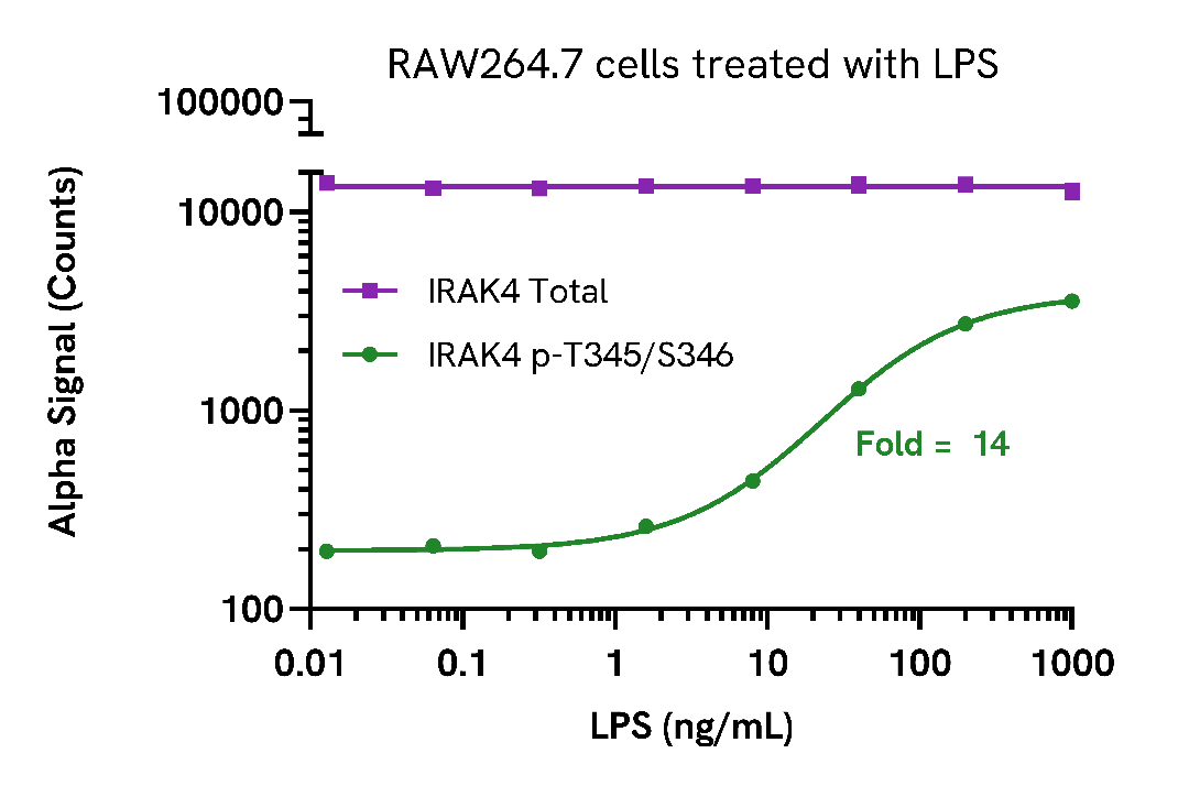 Validation of IRAK4 assay in LPS treated cells