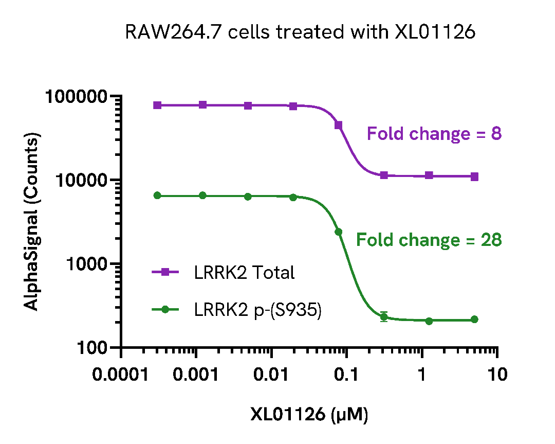 Inhibition of phospho MEK2 (Ser217/221) in endogenous cellular models