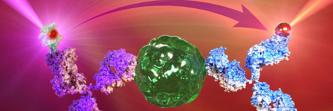 Brochure HTRF assays and reagents product list hero