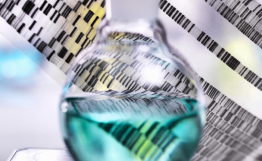 Q&A with experts: regulatory readiness for upstream bioprocessing. 