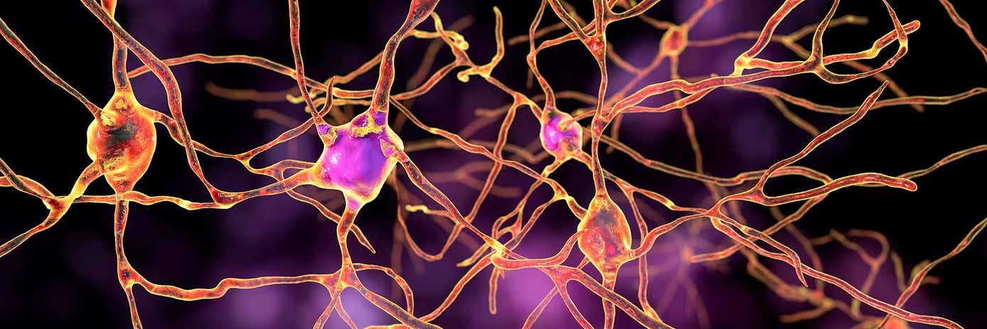 Improving neuronal transduction with nanobody-displaying AAV vectors ...