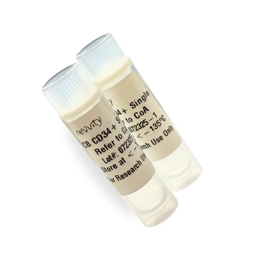 CD34+ Hematopoietic Stem Cells