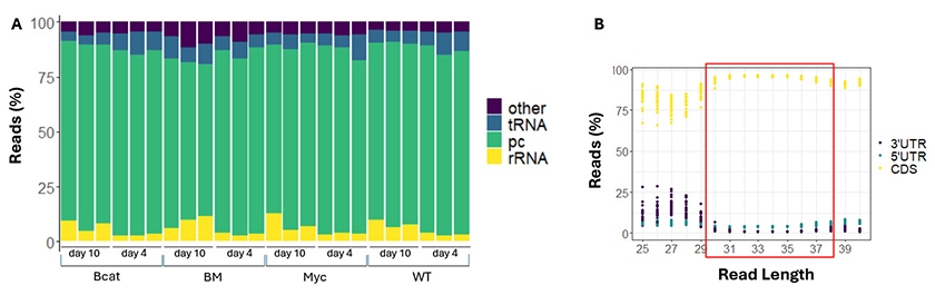 Ribosomal blog fig-3