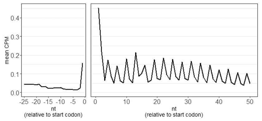 Ribosomal blog fig-5