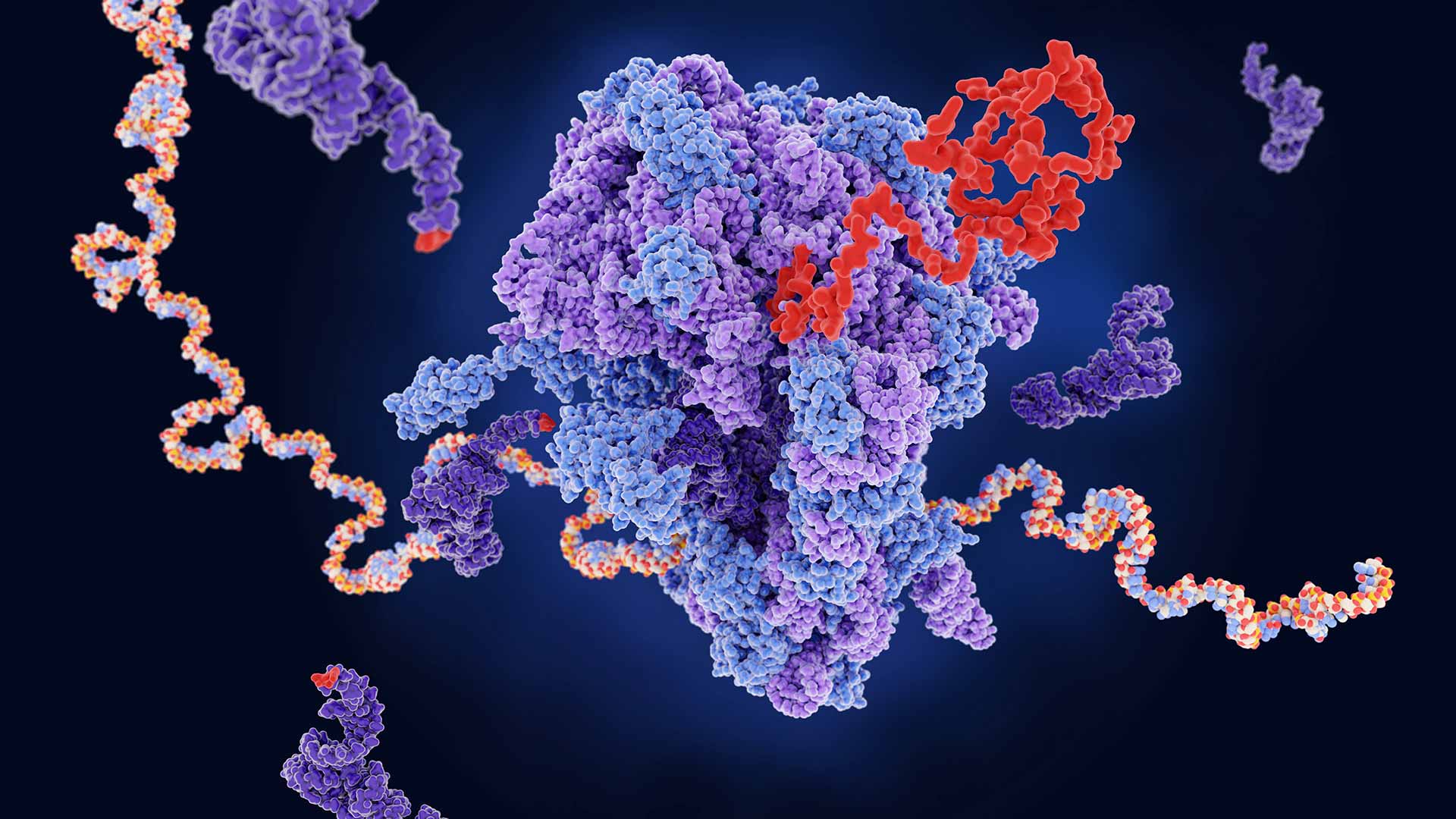 Ribosomal RNA fragments in small RNA-seq: Biological signals or ...