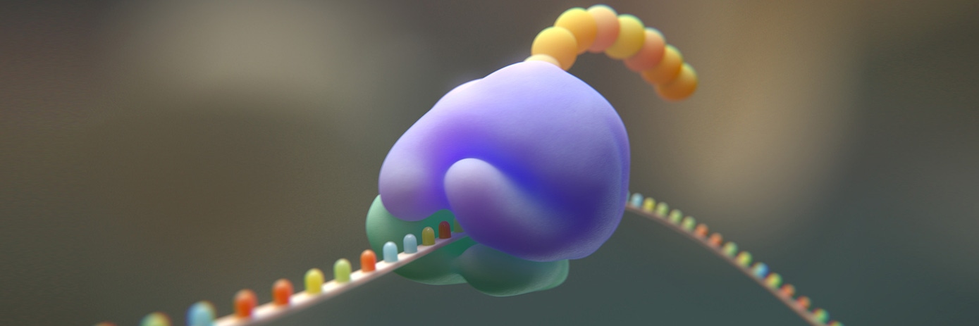 ribosome profiling hero
