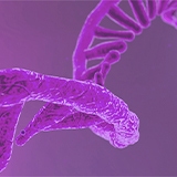rna