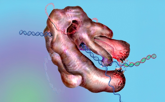 rna function blog thumbnail