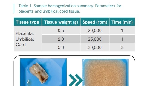img-rotor-stator-homogenizer-thq-12mm-placenta-umbilical-cord