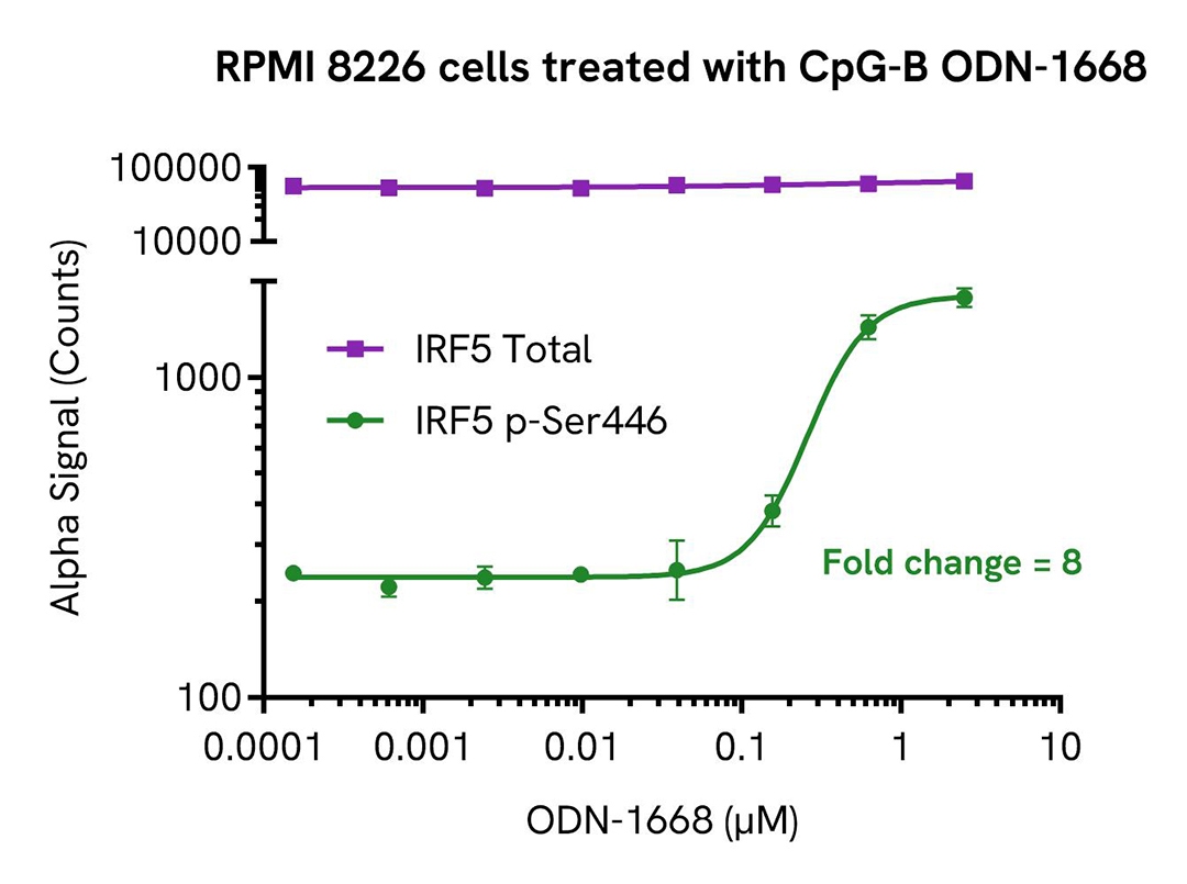 RPMI 8226 cells treated with CpG B ODN 1668