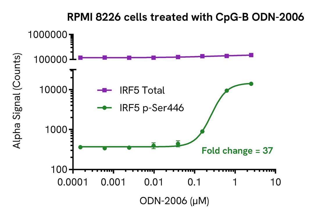  RPMI 8226 cells treated with CpG B ODN 2006