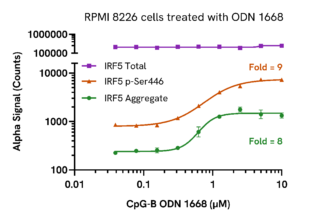 Validation of Aggregate/Phospho (Ser446)/Total IRF5 in CpG-B treated RPMI 8226 cells