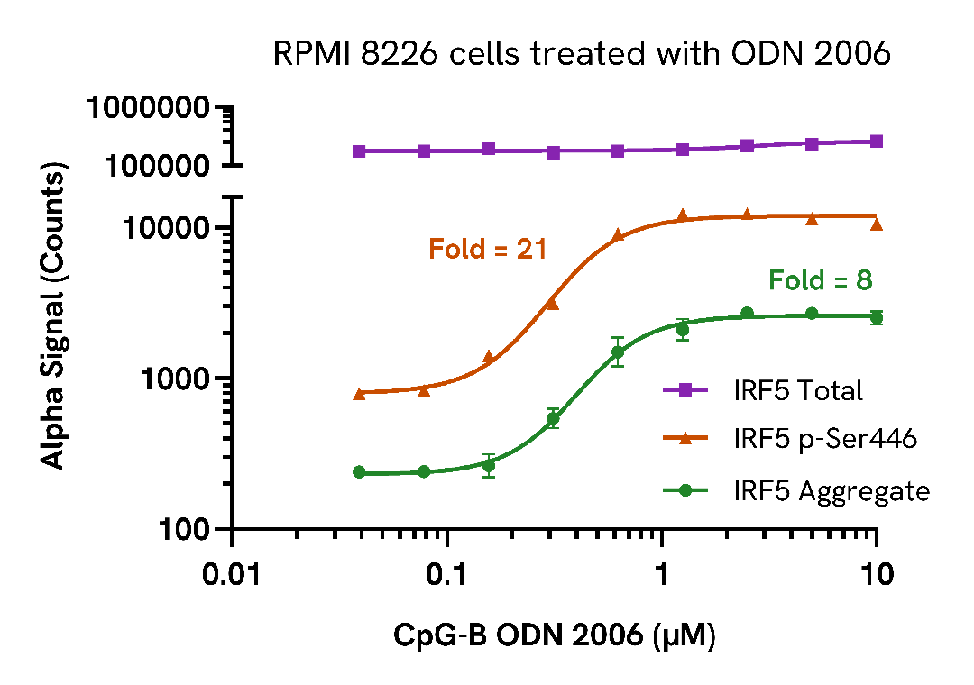 Validation of Aggregate/Phospho (Ser446)/Total IRF5 in CpG-B treated RPMI 8226 cells