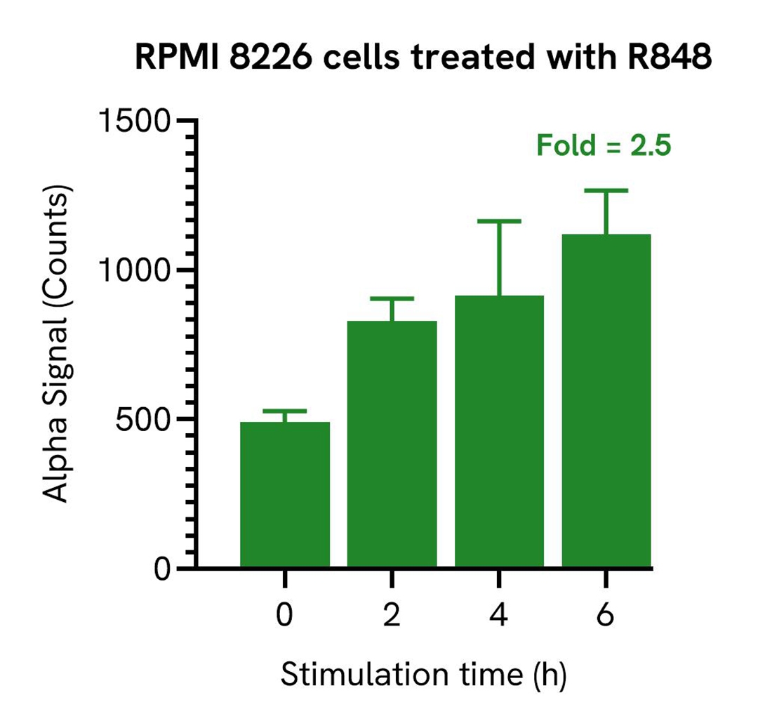 RPMI 8226 cells treated with R848