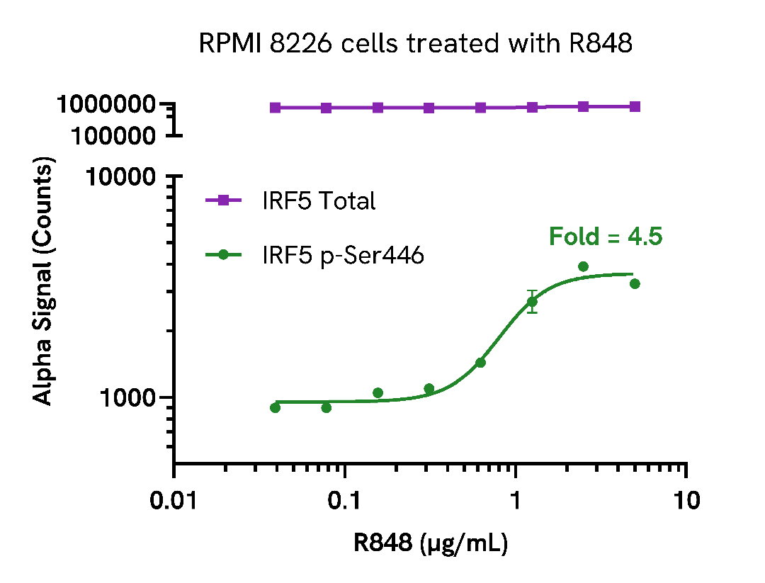 Validation of Phospho (Ser446)/Total IRF5 in R848 treated cells