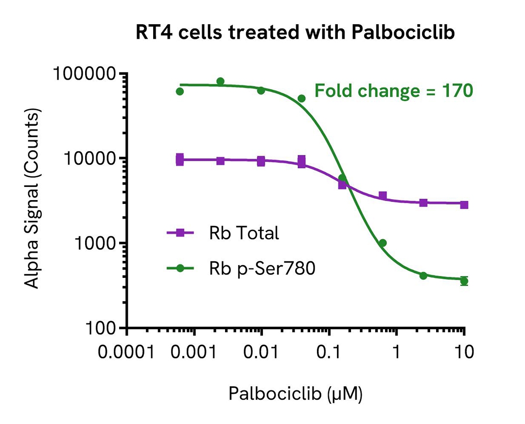 RT4 cells treated with Palbociclib