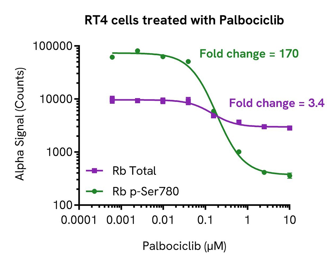 rt4 cells treated with palbociclib alsu trb a