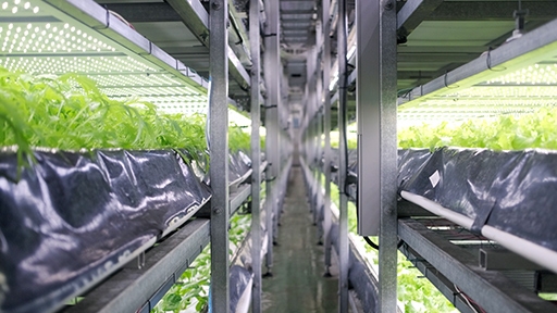 sample prep automation plant and animal genomics research