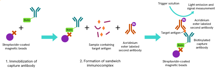 blog sav beads in-content image