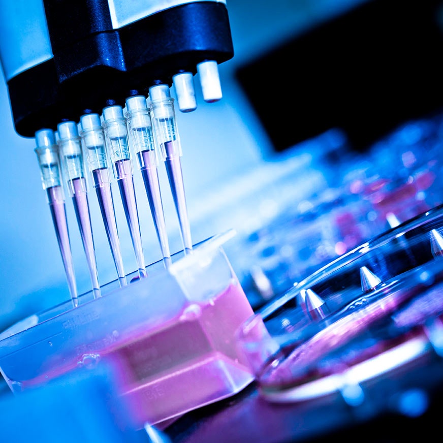 Multi-channel pipette used in GMP-compliant lab for cell and gene therapy scale-up workflows