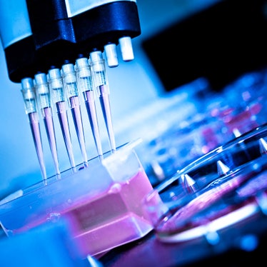 Multi-channel pipette used in GMP-compliant lab for cell and gene therapy scale-up workflows